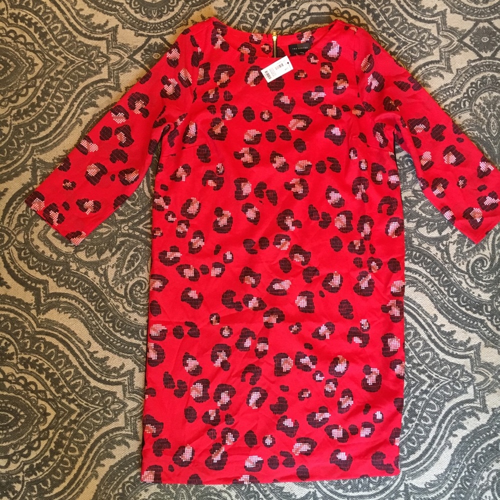 The Limited Dress